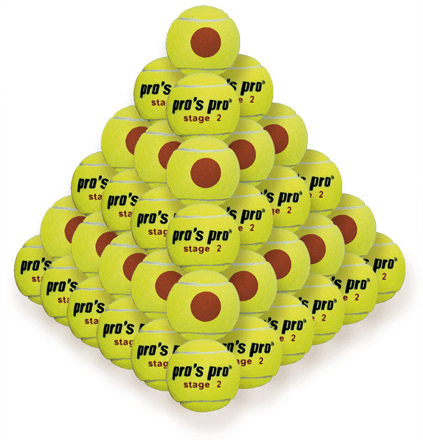 Pro's Pro Stage 2 with orange point 60B