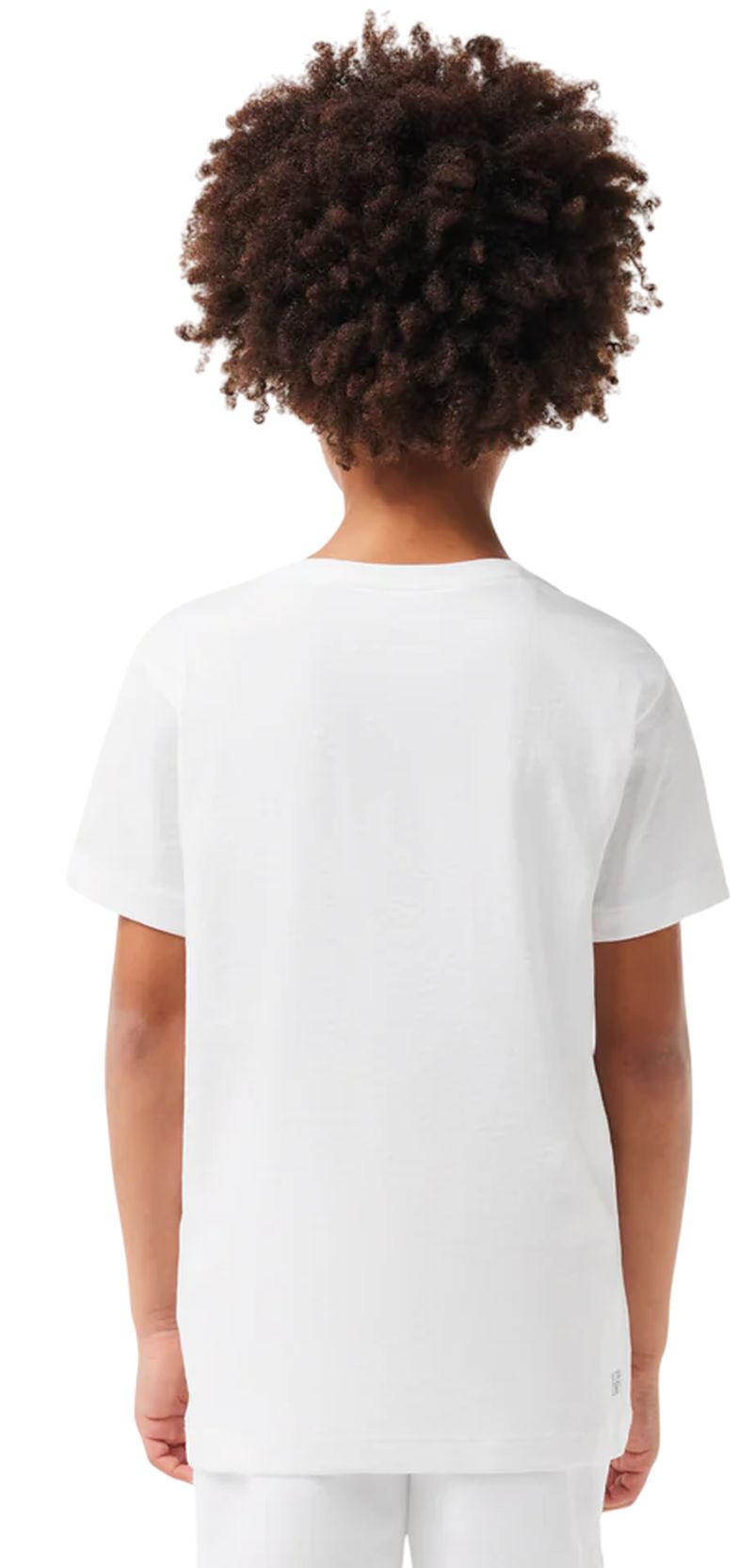 TJ2910_001_22TTH5aQVxKsvb4