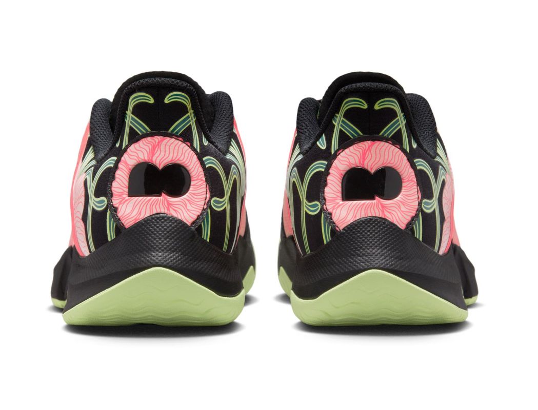 AURORA_FJ2985-001_PHCBH000-2000