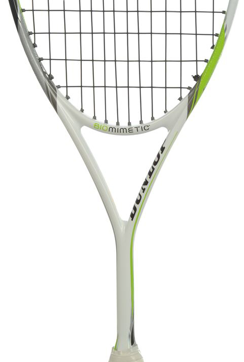Dunlop Biomimetic Elite GTS