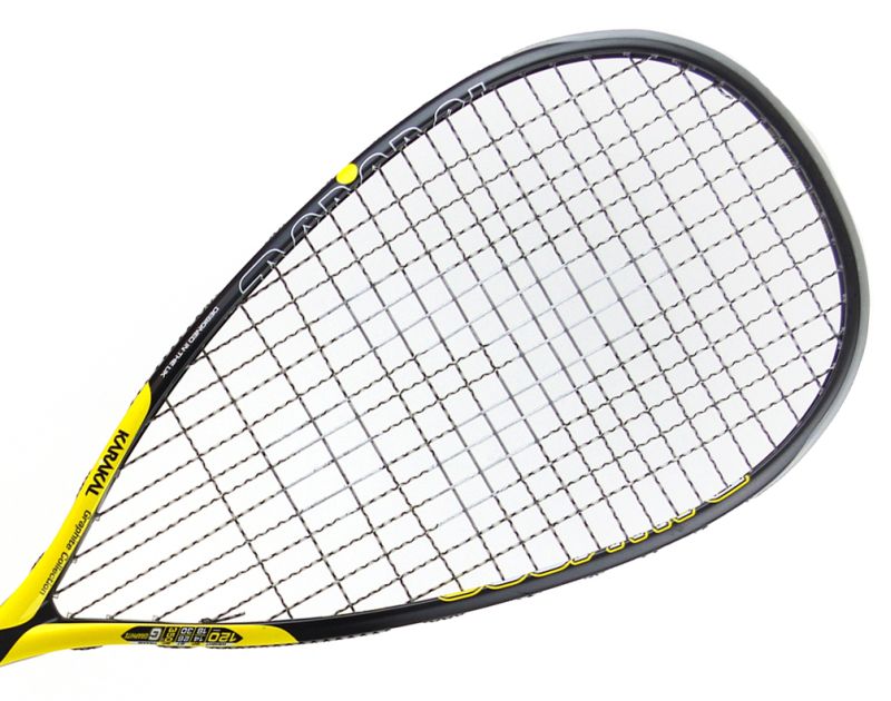 foto_no_exif-2024-09-10T125130-720 Karakal RAW-120