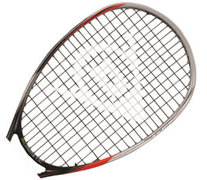 Dunlop Biomimetic Pro GTS 140