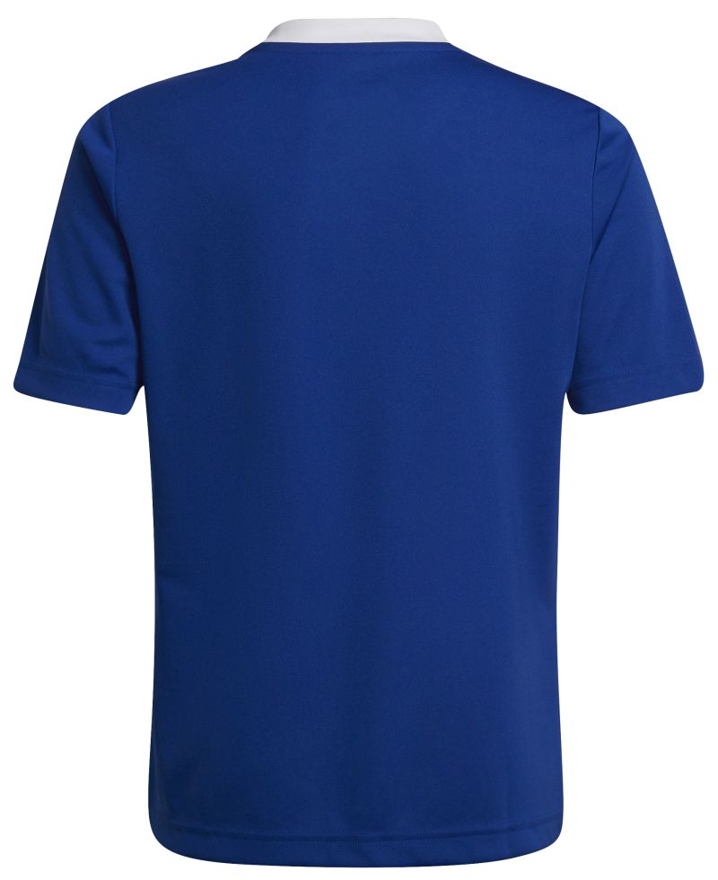 Adidas Kids Entrada 22 Jersey