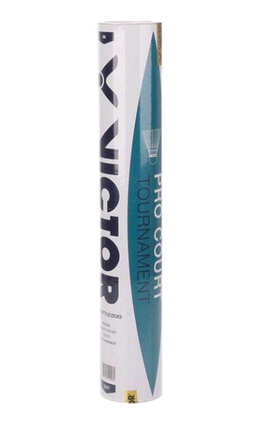 VictorProCourtTournament