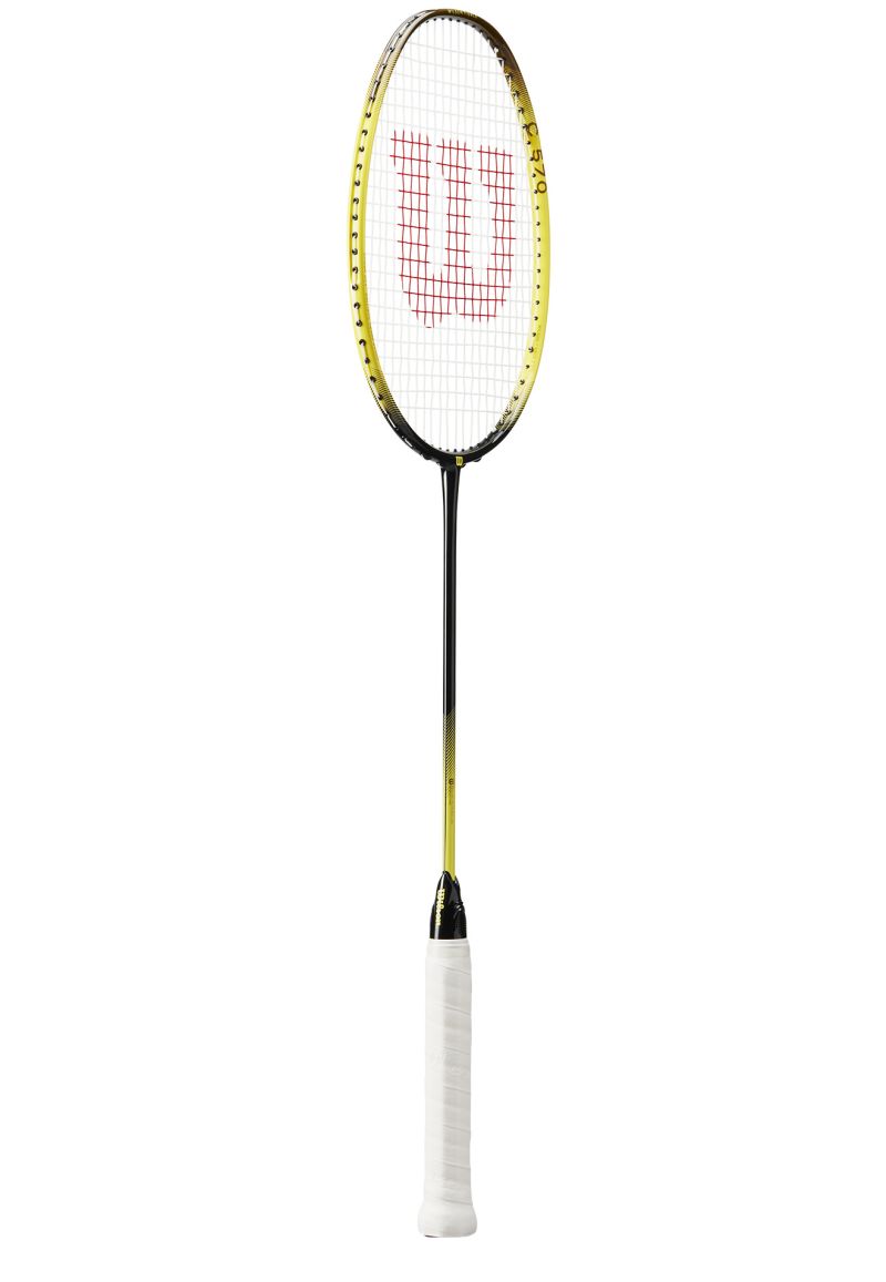 Wilson Fierce 570