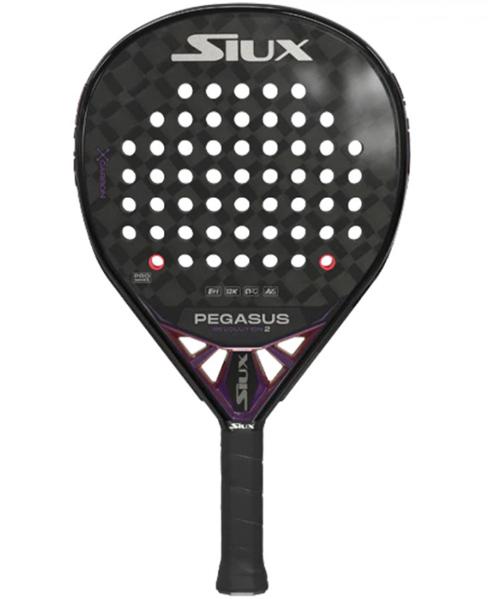 SiuxPegasusRevolutionPro2 Siux Pegasus Revolution Pro 2