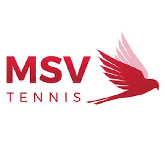 MSV Vibration Damper Oval - white