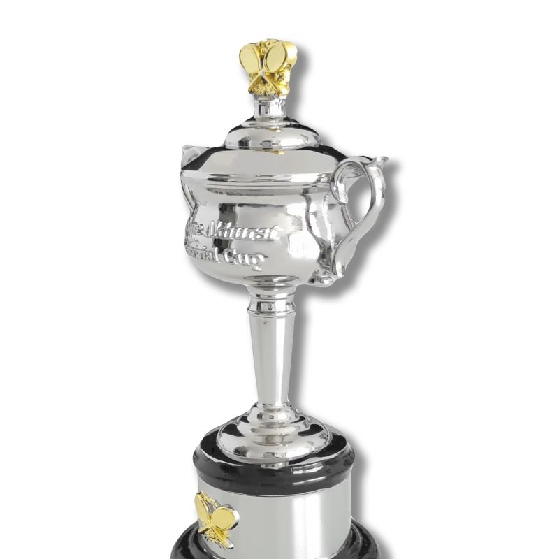 AOWOMENSDESKTROPHY-close-up