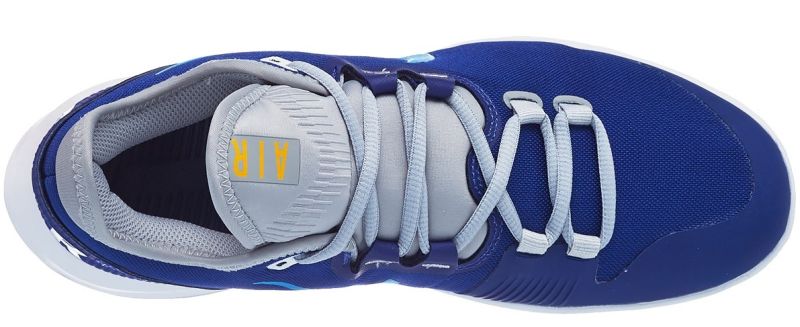 Nike Air Max Wildcard Clay - deep royal blue/coast/white