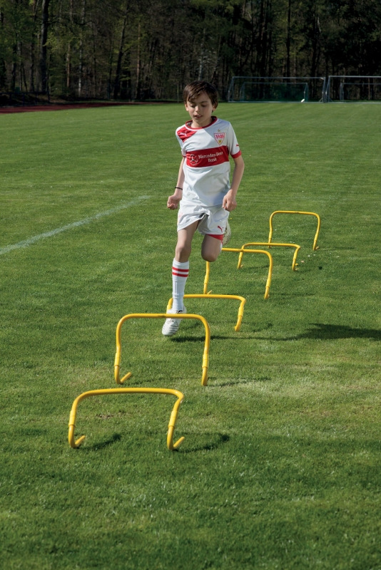 Court Royal Training Hurdles Adjustable in Height 6P