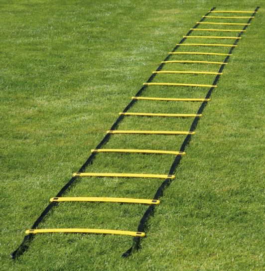 Court Royal Coordination Ladder